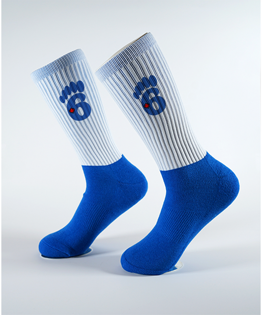 6Step Signature logo socks