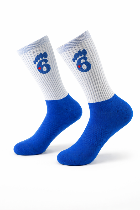 6Step Signature logo socks