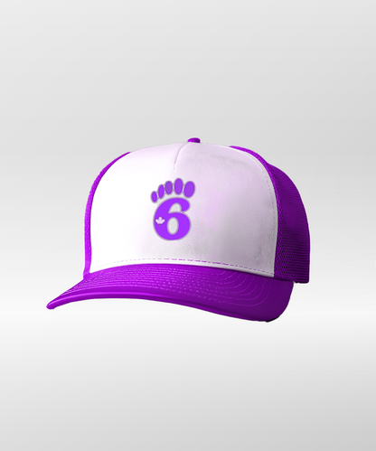 6Step Logo Trucker Cap
