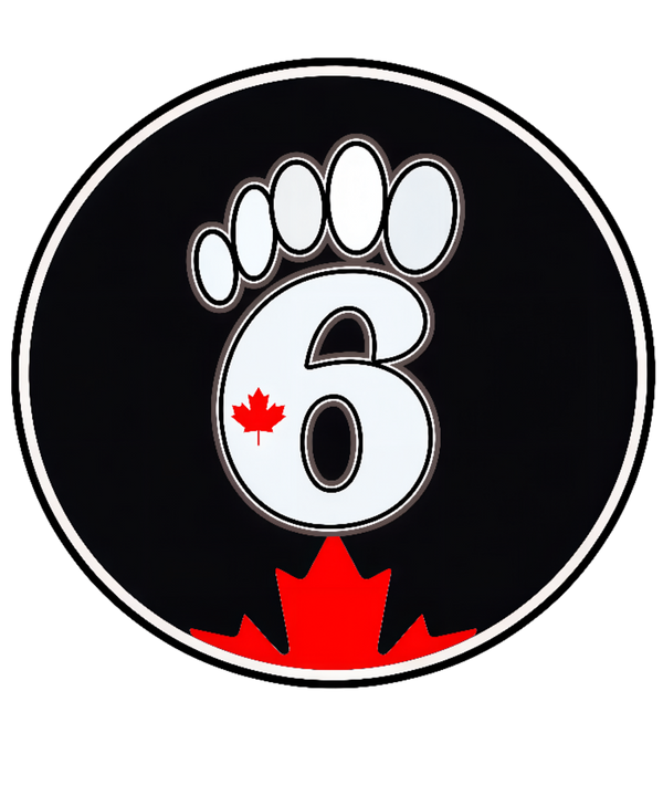 6Step.ca